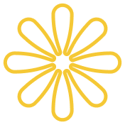 数据解决方案 - FIFAshengxinxing